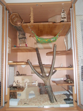 P5240028