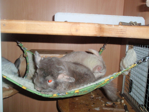 P9110010