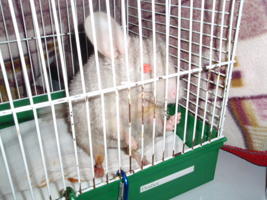 P3090044
