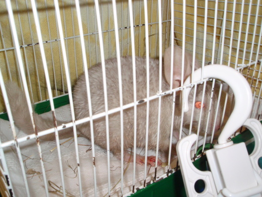 P3090092