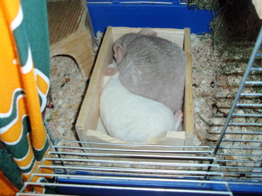 P7220055