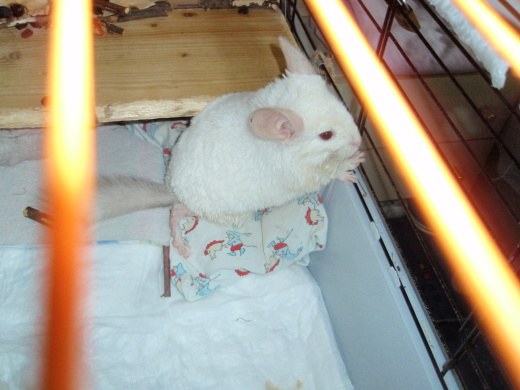 P9200007