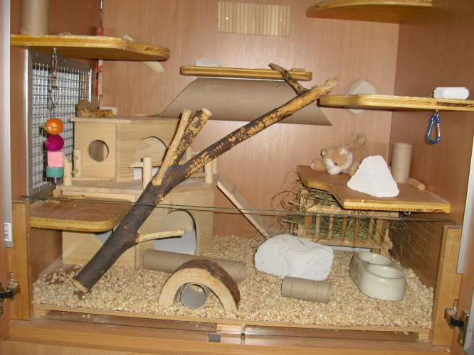 CIMG4476.JPG
