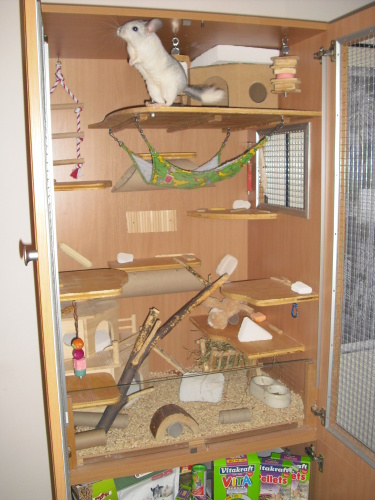 CIMG4504.JPG