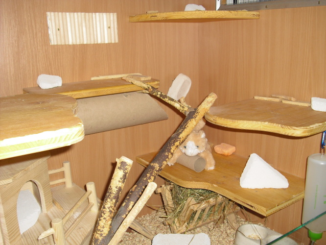 CIMG4529.JPG