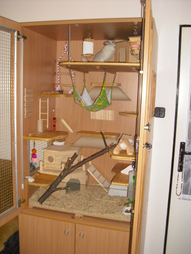 CIMG3662.JPG