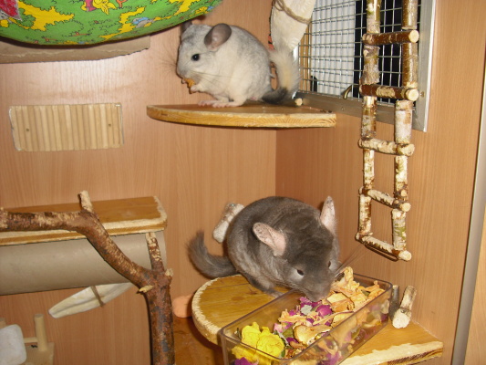 CIMG0129