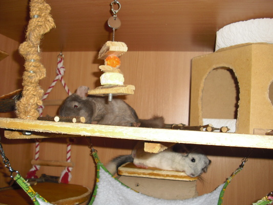 CIMG0336